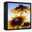 Sunny Day-Herb Dickinson-Framed Premier Image Canvas