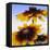 Sunny Day-Herb Dickinson-Framed Premier Image Canvas