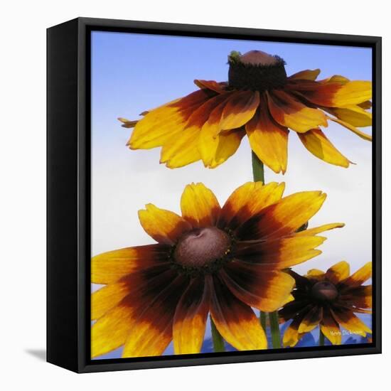 Sunny Day-Herb Dickinson-Framed Premier Image Canvas