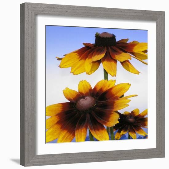 Sunny Day-Herb Dickinson-Framed Photographic Print