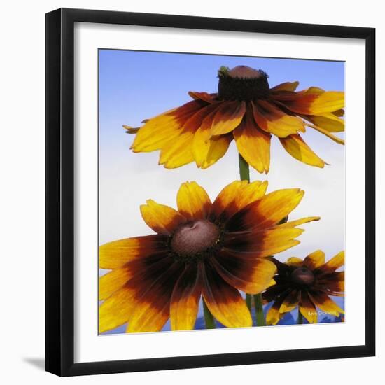 Sunny Day-Herb Dickinson-Framed Photographic Print