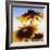 Sunny Day-Herb Dickinson-Framed Photographic Print