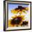 Sunny Day-Herb Dickinson-Framed Photographic Print