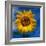 Sunny Days-Ursula Abresch-Framed Photographic Print