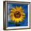 Sunny Days-Ursula Abresch-Framed Photographic Print