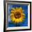 Sunny Days-Ursula Abresch-Framed Photographic Print