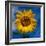 Sunny Days-Ursula Abresch-Framed Photographic Print