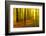 Sunny Deciduous Forest in Full Autumn Colours, Abstract Study [M-Andreas Vitting-Framed Photographic Print