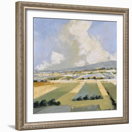 Sunny Fields I-Robert Seguin-Framed Art Print