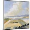 Sunny Fields II-Robert Seguin-Mounted Art Print