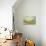 Sunny Fields-Silvia Vassileva-Premium Giclee Print displayed on a wall