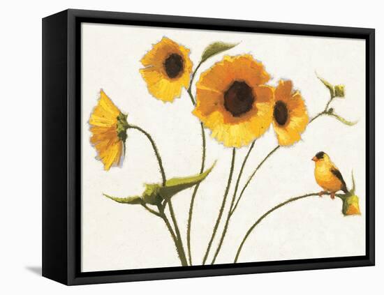 Sunny Flowers on White-Shirley Novak-Framed Stretched Canvas