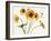Sunny Flowers on White-Shirley Novak-Framed Art Print