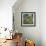 Sunny Garden Colours, 2021 (oil on canvas)-Sylvia Paul-Framed Giclee Print displayed on a wall