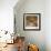 Sunny Hallway-Nicole Katano-Framed Photo displayed on a wall