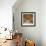 Sunny Hallway-Nicole Katano-Framed Photo displayed on a wall