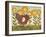 Sunny Hen I-Paul Brent-Framed Art Print