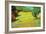 Sunny Lawn-Vincent van Gogh-Framed Art Print