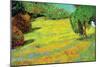 Sunny Lawn-Vincent van Gogh-Mounted Art Print