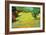 Sunny Lawn-Vincent van Gogh-Framed Art Print