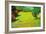 Sunny Lawn-Vincent van Gogh-Framed Art Print