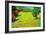 Sunny Lawn-Vincent van Gogh-Framed Art Print