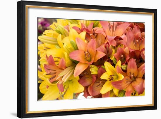 Sunny Lily I-Maureen Love-Framed Photographic Print