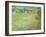 Sunny Meadow Near Auvers, 1890-Vincent van Gogh-Framed Giclee Print