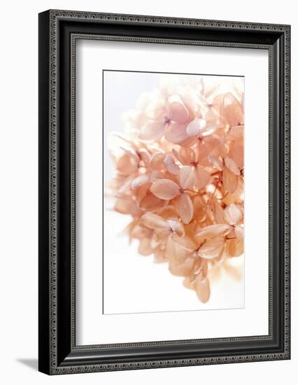 Sunny Morning I-Judy Stalus-Framed Photographic Print