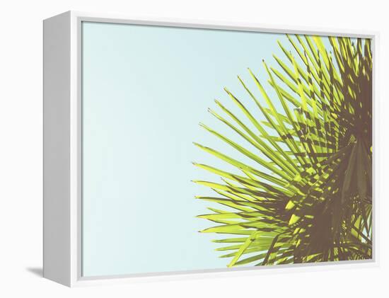 Sunny Palms II-Sonja Quintero-Framed Premier Image Canvas