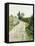 Sunny Path, about 1890-Ferdinand Hodler-Framed Premier Image Canvas