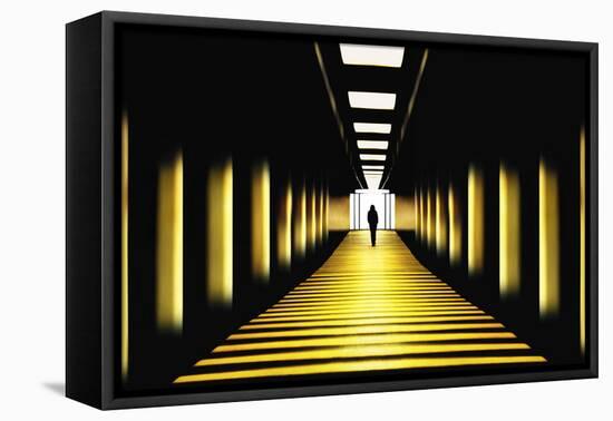 Sunny Path-Samanta-Framed Premier Image Canvas