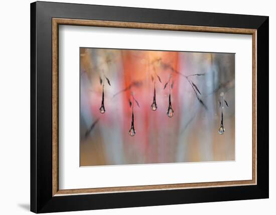 Sunny Rain-Heidi Westum-Framed Photographic Print