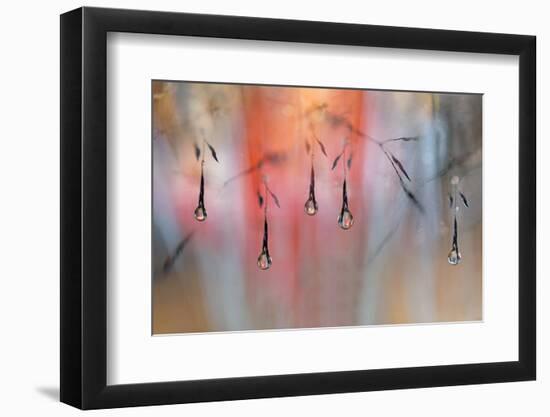 Sunny Rain-Heidi Westum-Framed Photographic Print