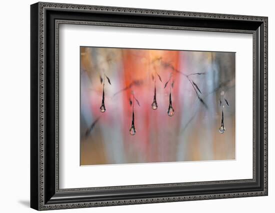 Sunny Rain-Heidi Westum-Framed Photographic Print