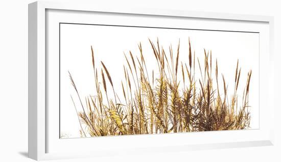 Sunny Reeds-Assaf Frank-Framed Giclee Print