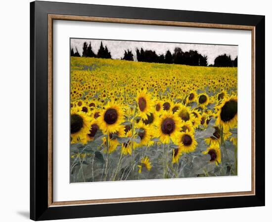 Sunny-Sided Hill, 2019,-Helen White-Framed Giclee Print