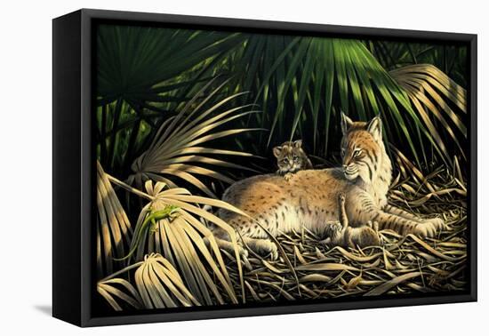 Sunny Spot Bobcat with Kittens-Wilhelm Goebel-Framed Premier Image Canvas