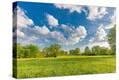 Stretched Canvas Print
