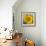 Sunny Sunflower I-Nicole Katano-Framed Photo displayed on a wall