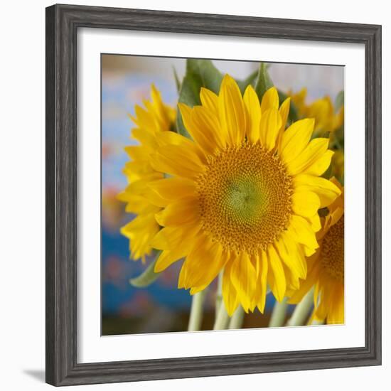 Sunny Sunflower I-Nicole Katano-Framed Photo