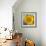 Sunny Sunflower I-Nicole Katano-Framed Photo displayed on a wall