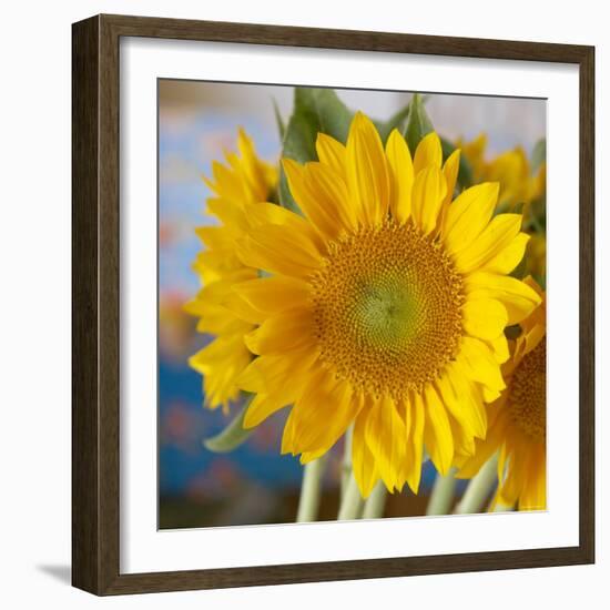 Sunny Sunflower I-Nicole Katano-Framed Photo