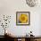 Sunny Sunflower I-Nicole Katano-Framed Photo displayed on a wall