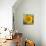 Sunny Sunflower I-Nicole Katano-Mounted Photo displayed on a wall