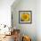 Sunny Sunflower I-Nicole Katano-Framed Photo displayed on a wall