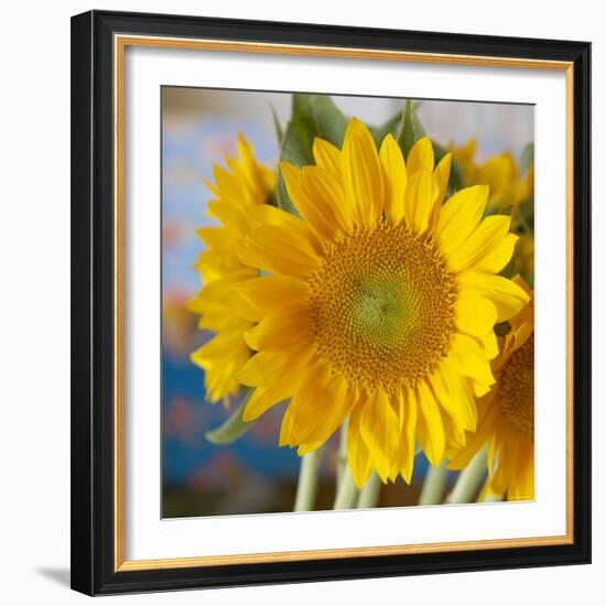 Sunny Sunflower I-Nicole Katano-Framed Photo