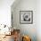 Sunny Sunflower I-Nicole Katano-Framed Photo displayed on a wall