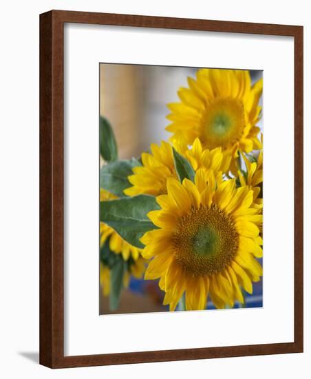 Sunny Sunflower II-Nicole Katano-Framed Photo