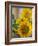 Sunny Sunflower II-Nicole Katano-Framed Photo